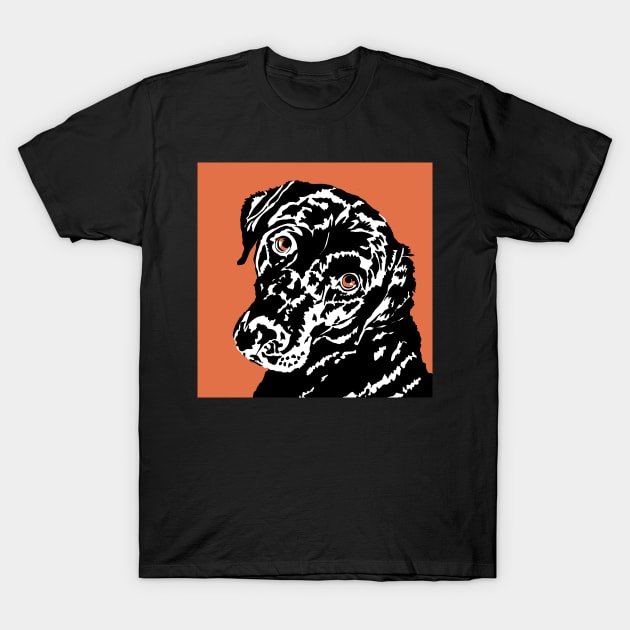 Mollie the Black Labrador Dog T-Shirt by NattyDesigns